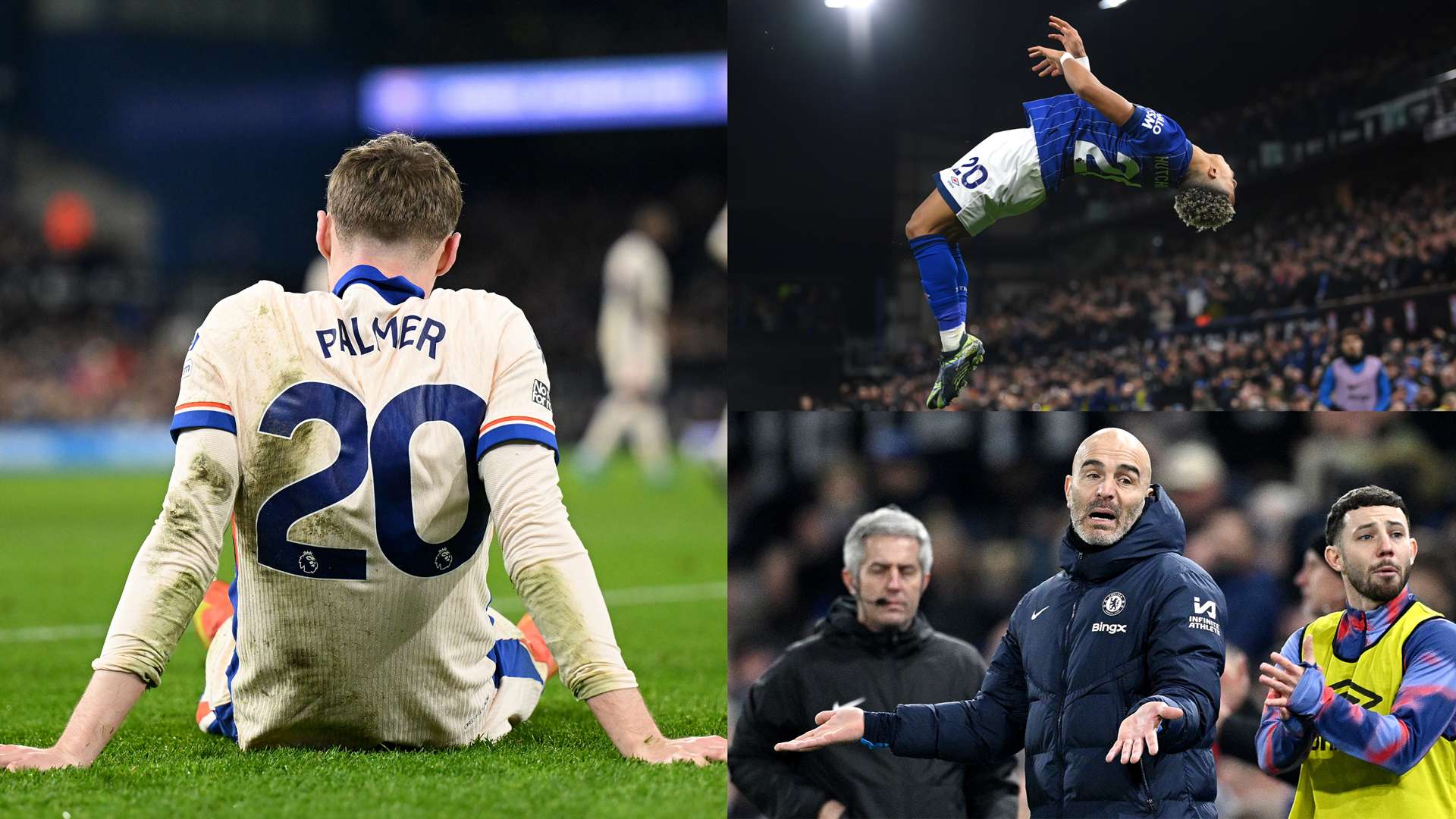 能为这片热 能为这片热