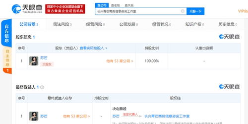 辞职两年后,原时尚集团总裁苏芒被曝成立商务信息咨询工作室